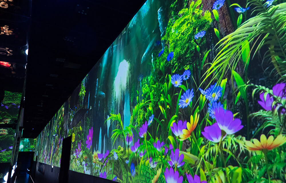 舌尖上的光影盛宴，索尼 3LCD 商用激光投影机营造沉浸式用餐环境