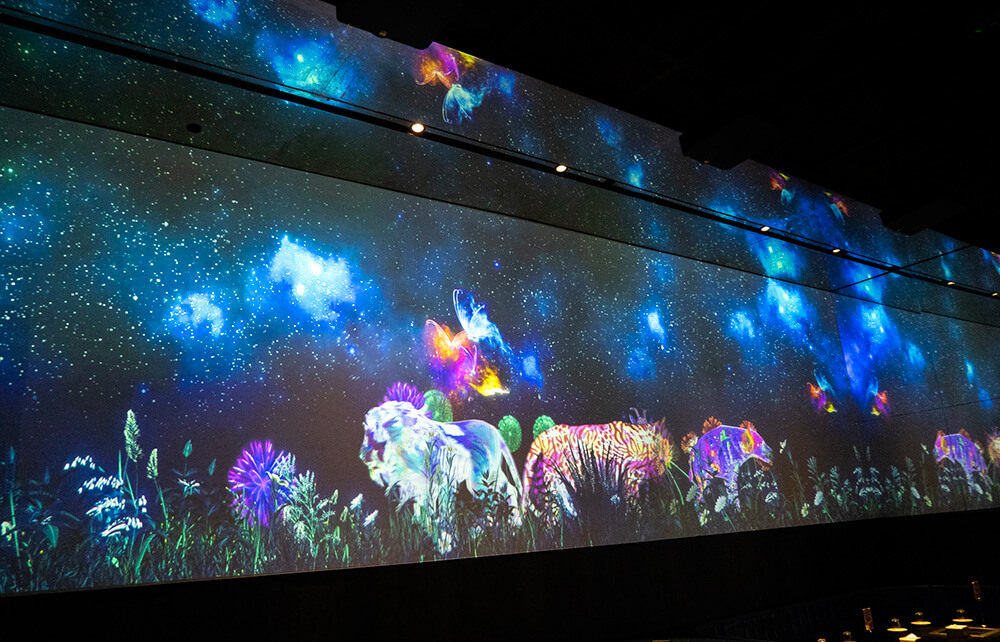 舌尖上的光影盛宴，索尼 3LCD 商用激光投影机营造沉浸式用餐环境