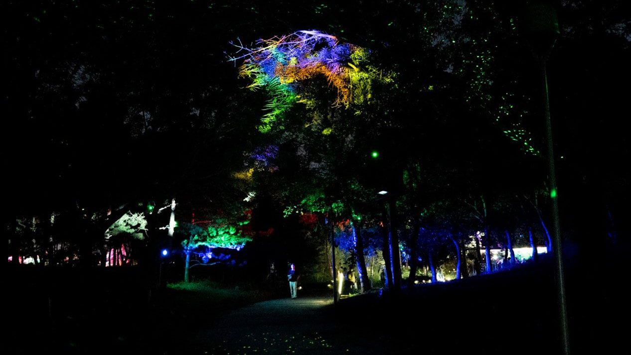 索尼助力京城夜游新名片，探访“奇幻光影森林之山海幻境”