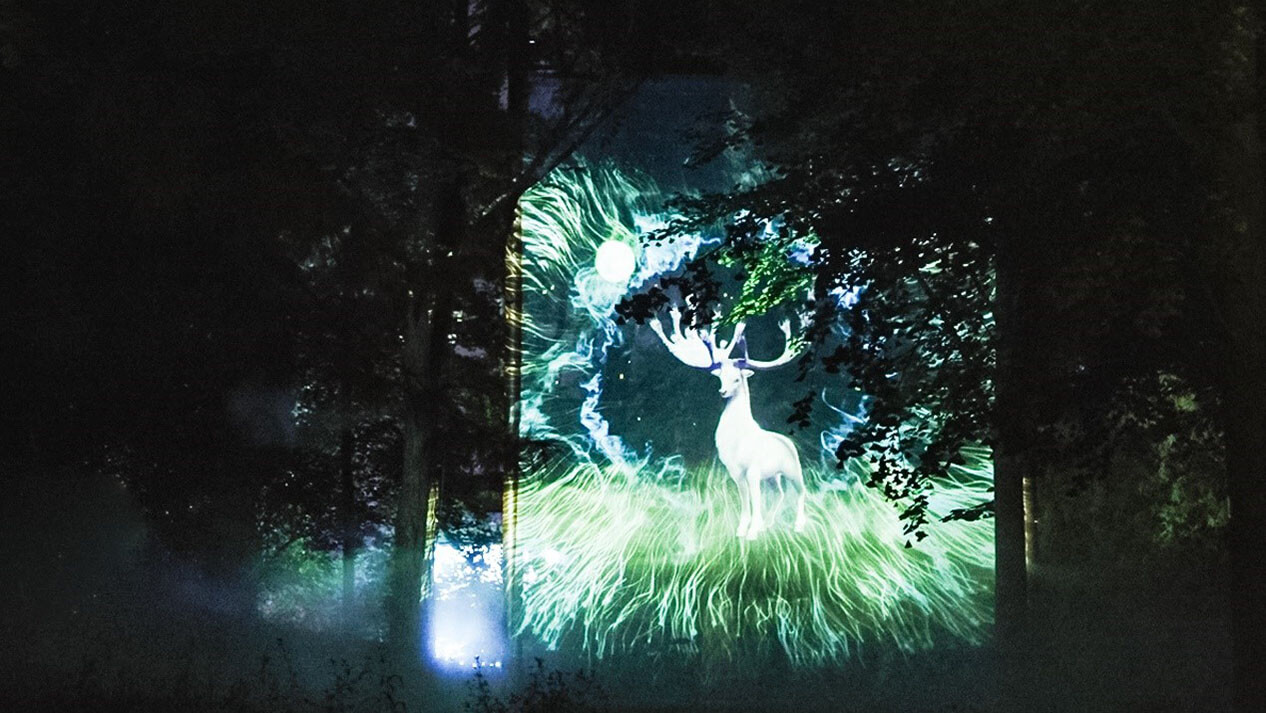 索尼助力京城夜游新名片，探访“奇幻光影森林之山海幻境”