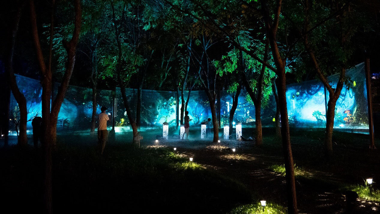 索尼助力京城夜游新名片，探访“奇幻光影森林之山海幻境”